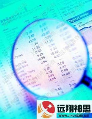 河南平顶山项目申请报告图片、样板图与效果图 济南远翔神思的专业咨询服务解析